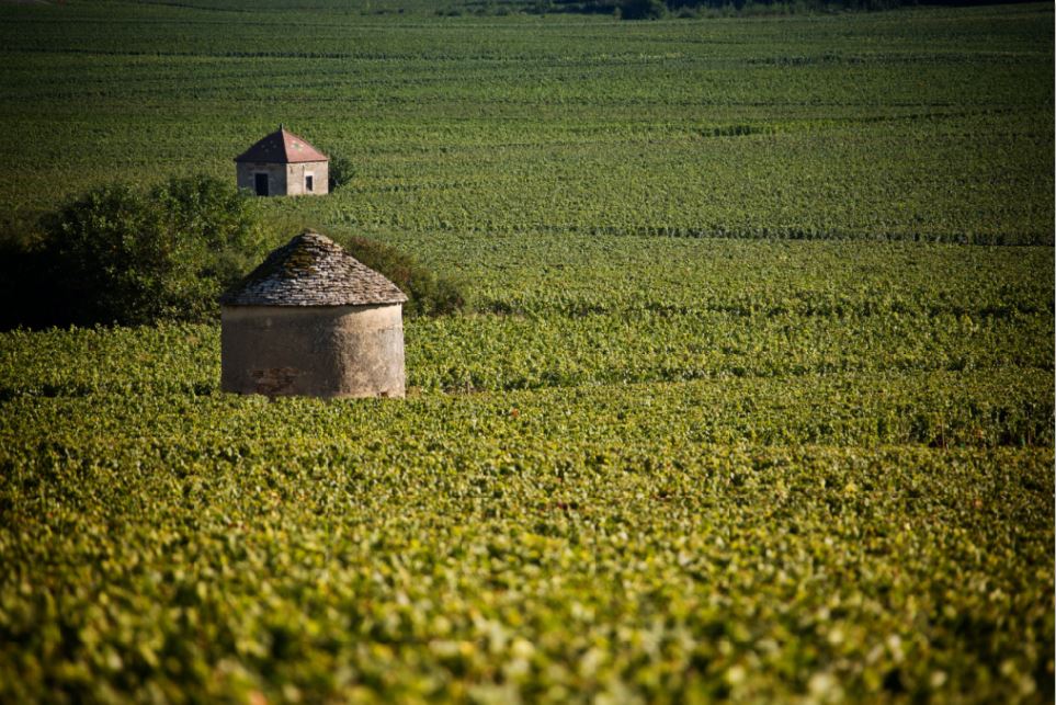 Association des Climats du vignoble de Bourgogne