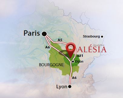 Mus&eacute;oParc Al&eacute;sia