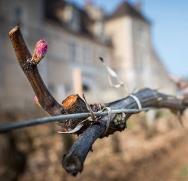 Le Mois des Climats 2018