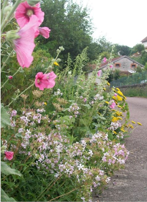 cdt21 villes et villages fleuris