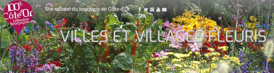 http://www.cotedor-tourisme.com