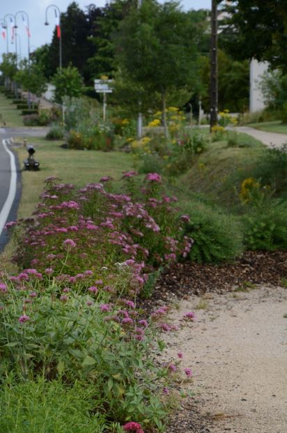 Villes et villages fleuris... plus que des fleurs !