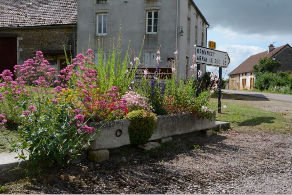 Villes et villages fleuris... plus que des fleurs !