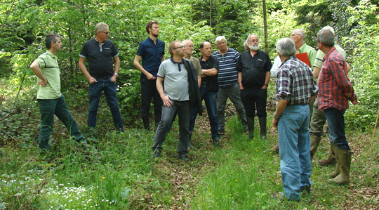 Les Communes foresti&egrave;res de Bourgogne Franche-Comt&eacute; 