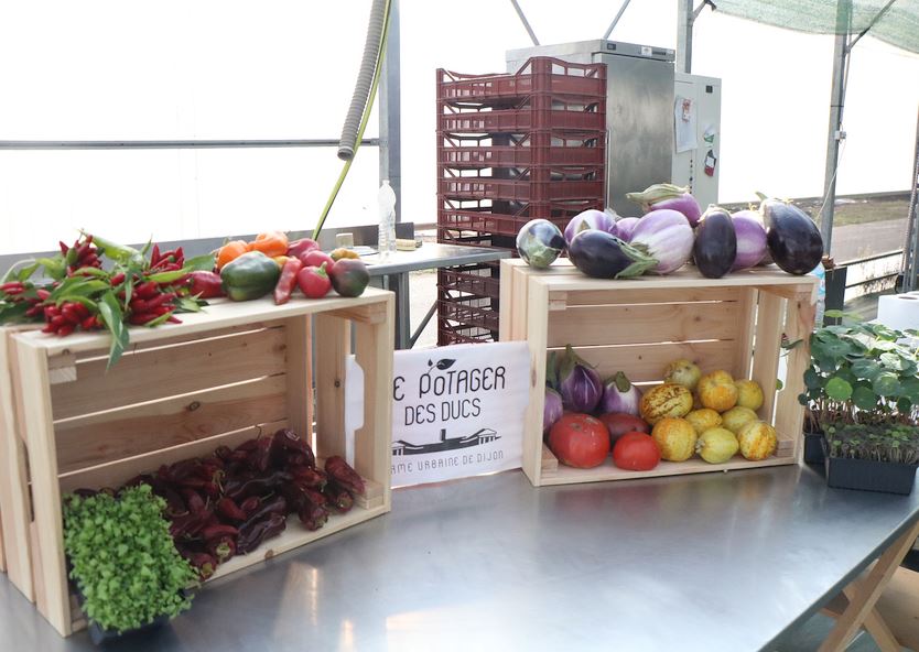 Dijon, Le Potager des ducs