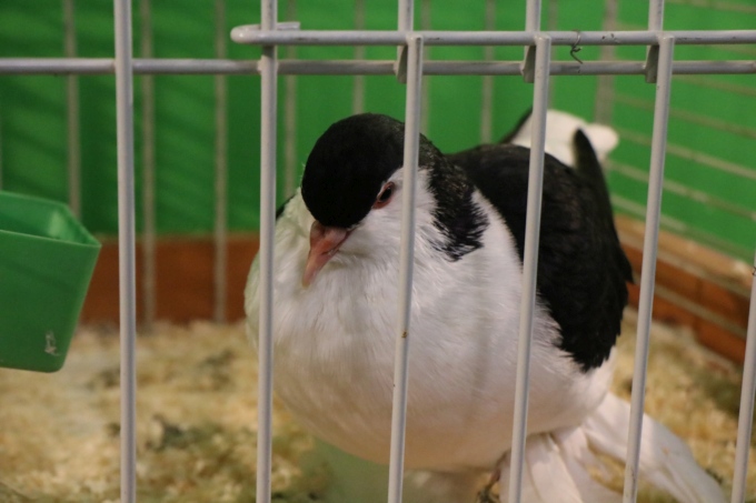 La Ferme C&ocirc;te d'Or &agrave; la Foire de Dijon : un nouveau coup de projecteur sur les fili&egrave;res locales !