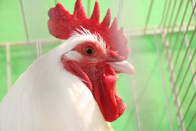 La Ferme C&ocirc;te d'Or &agrave; la Foire de Dijon : un nouveau coup de projecteur sur les fili&egrave;res locales !