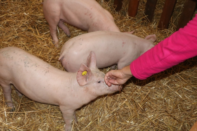 La Ferme C&ocirc;te d'Or &agrave; la Foire de Dijon : un nouveau coup de projecteur sur les fili&egrave;res locales !