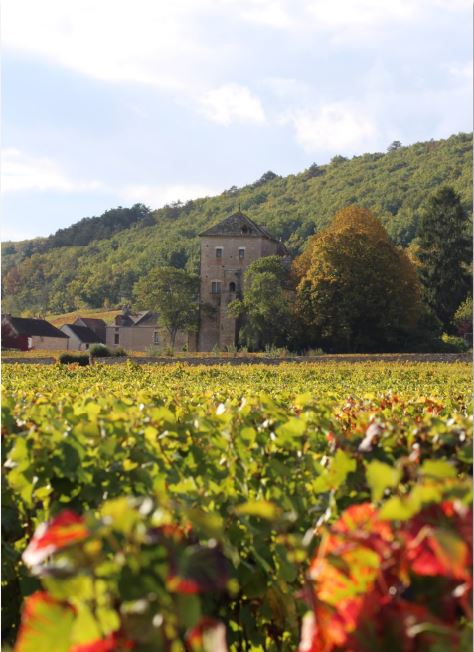 Office de Tourisme de Gevrey-Chambertin & Nuits-Saint-Georges