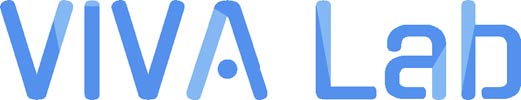 Le p&ocirc;le VIVA Lab
