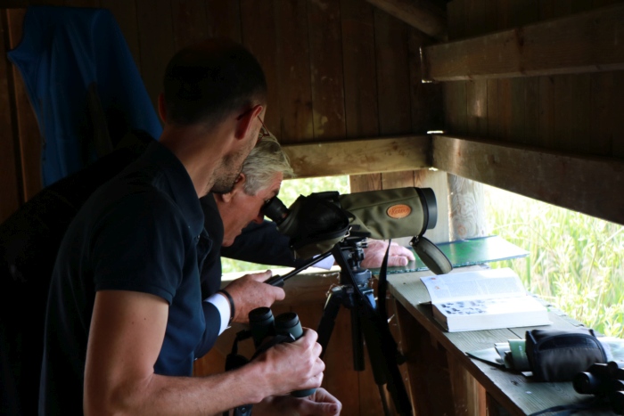Visite de l’observatoire ornithologique Visite de l’observatoire ornithologique