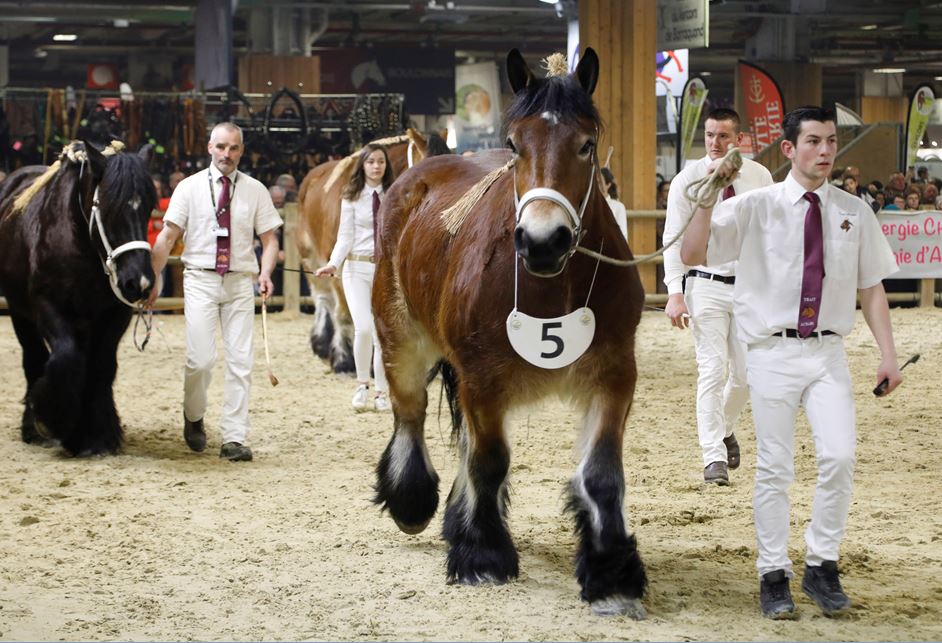 Le Salon International de l’Agriculture 2019 Le Salon International de l’Agriculture 2019
