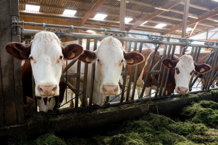 La pr&eacute;sidente de R&eacute;gion rencontre des agriculteurs heureux pour &eacute;voquer les aides &agrave; la bio