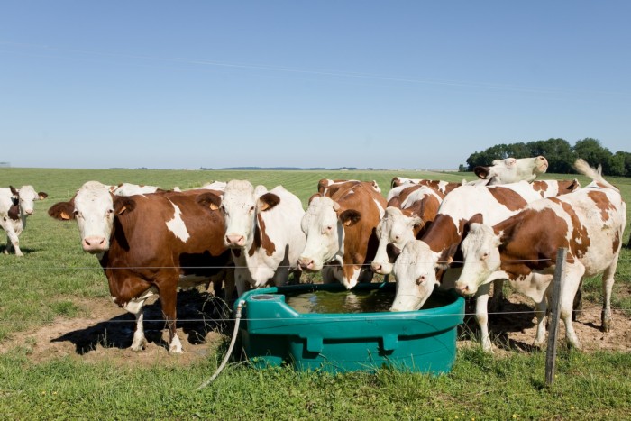 La pr&eacute;sidente de R&eacute;gion rencontre des agriculteurs heureux pour &eacute;voquer les aides &agrave; la bio