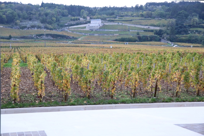 La belle soirée des Mécènes des Climats du vignoble de Bourgogne au Domaine Faiveley La belle soirée des Mécènes des Climats du vignoble de Bourgogne au Domaine Faiveley
