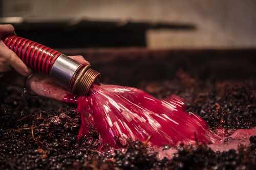 Vendanges en Bourgogne : 2019 s&rsquo;annonce digne des mill&eacute;simes en 9