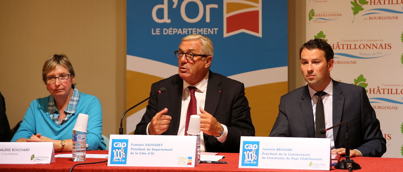 Fran&ccedil;ois Sauvadet, Pr&eacute;sident du D&eacute;partement de la C&ocirc;te-d&rsquo;Or