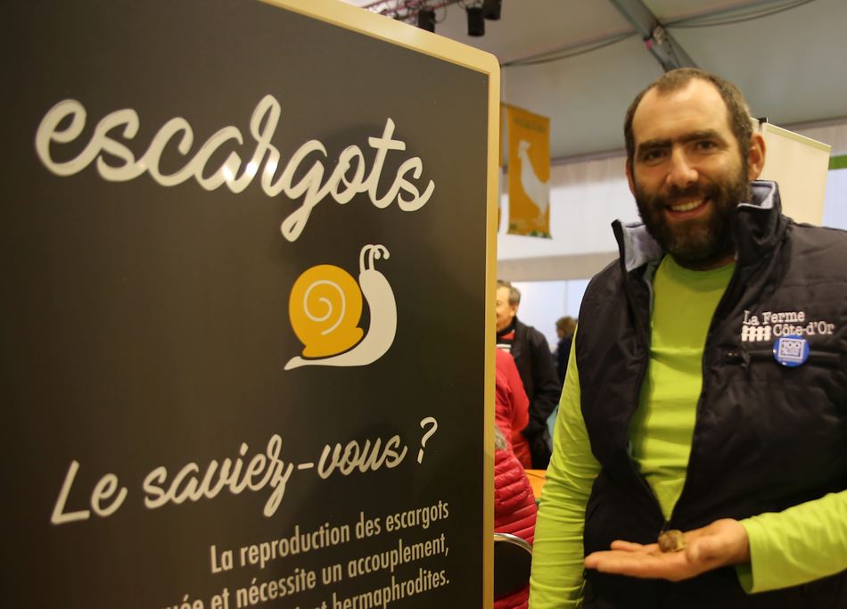 La Ferme C&ocirc;te-d&rsquo;Or Escargot, montre-nous tes cornes ! 