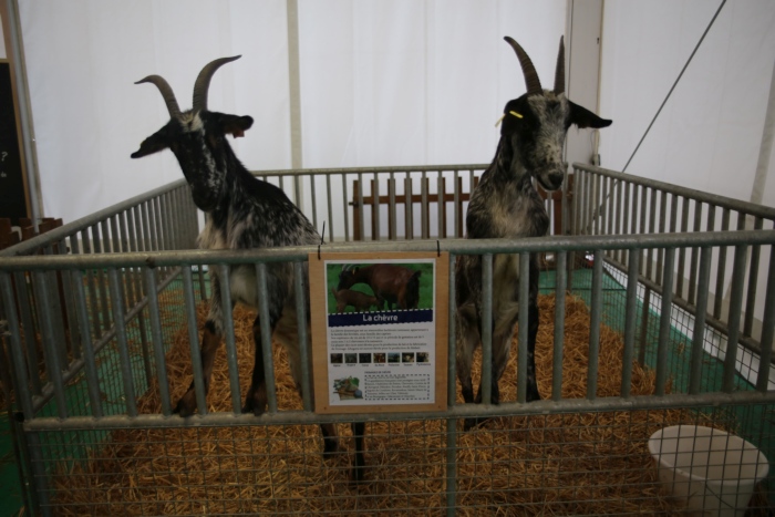 La Ferme C&ocirc;te-d&rsquo;Or 