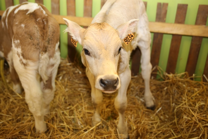 La Ferme C&ocirc;te-d&rsquo;Or 