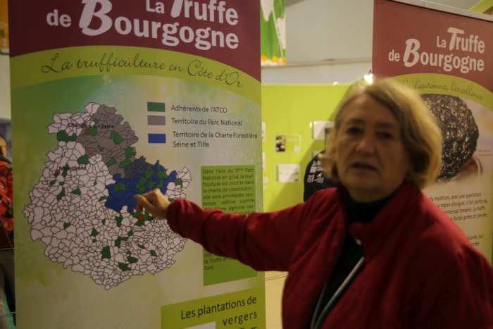 La Ferme C&ocirc;te-d&rsquo;Or Truffe : Ce petit champignon &agrave; la grande r&eacute;putation !