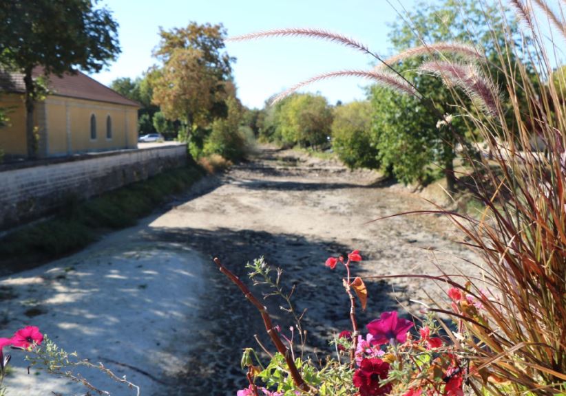 Etat de la tille sur le pont de Lux en juillet