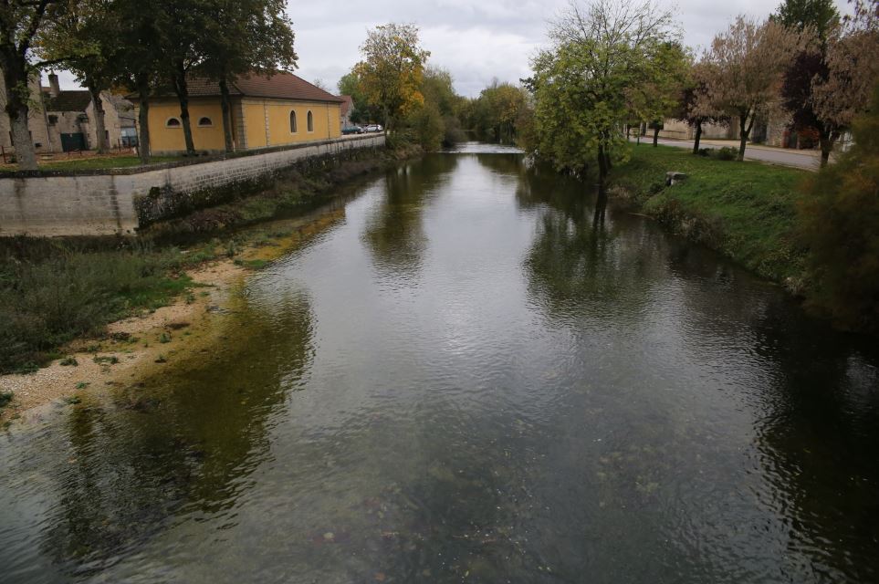 Etat de la tille sur le pont de Lux d&eacute;but novembre