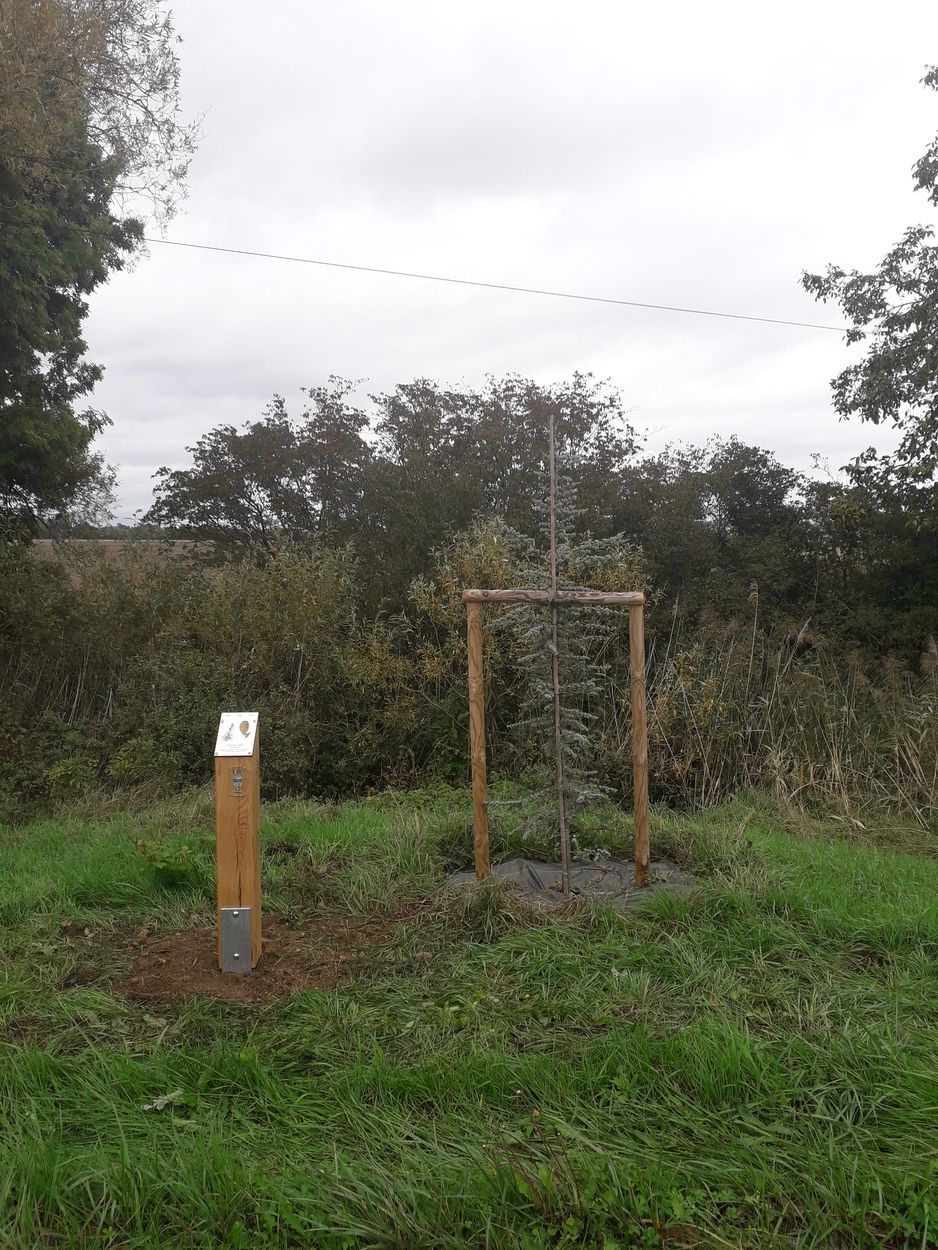 Voies Navigables de France - Centre Bourgogne Arboretum