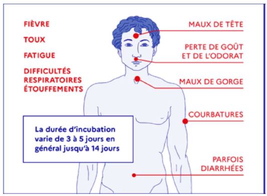 Les sympt&ocirc;mes &eacute;vocateurs du Covid-19