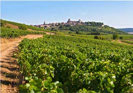 A R&Eacute;GION BOURGOGNE-FRANCHE-COMT&Eacute; AU C&OElig;UR DE TER DE FRANCE