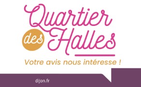 Pi&eacute;tonnisation du quartier des halles : votre avis int&eacute;resse la ville de Dijon