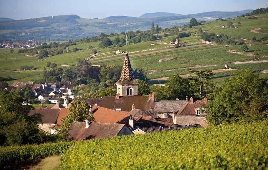 Projets éoliens, l'Association des Climats du vignoble de Bourgogne tire la sonnette d'alarme Projets éoliens, l'Association des Climats du vignoble de Bourgogne tire la sonnette d'alarme