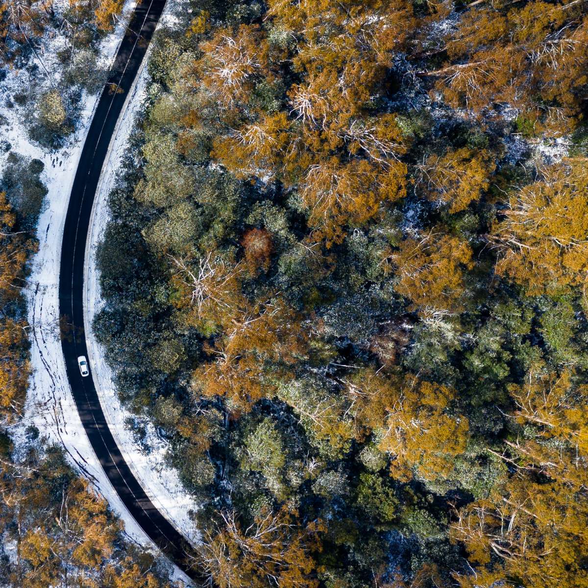 le Conseil D&eacute;partemental de la C&ocirc;te-d&rsquo;Or engage son dispositif de Viabilit&eacute; Hivernale