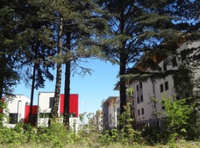 Nathalie_koenders_la_politique_ &eacute;cologique_de_Dijon