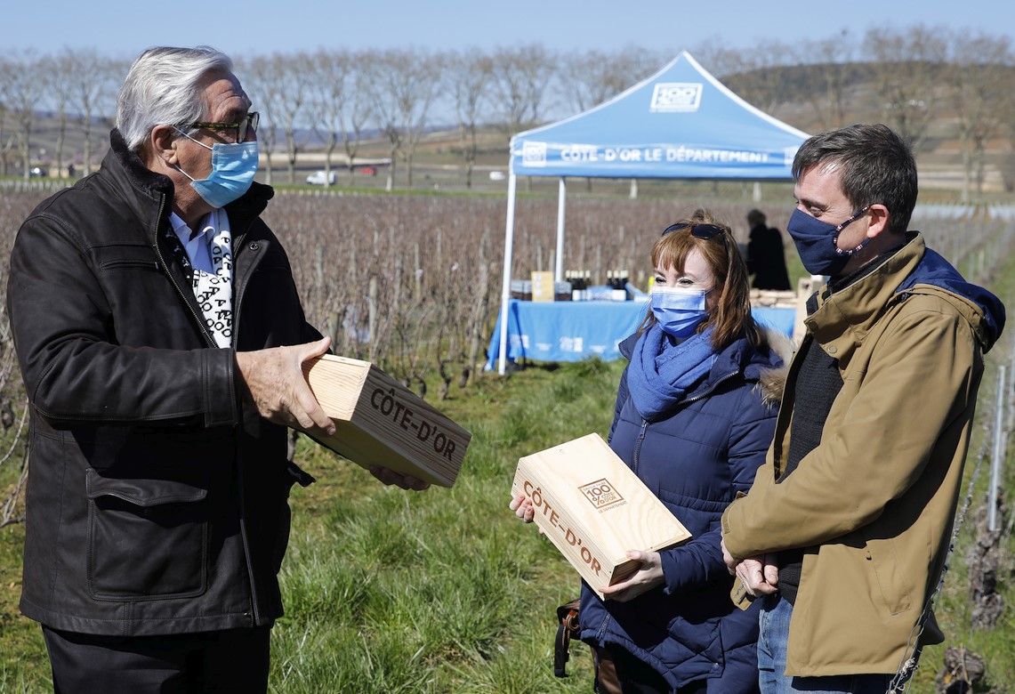 Vignes d&eacute;partementales &agrave; Pommard 