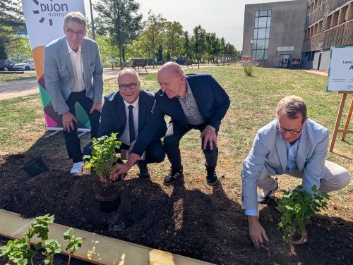 Elus et partenaires ont planté du cassis noir de Bourgogne pour lancer les travaux d'Agronov 2 ©Nadège Hubert Elus et partenaires ont planté du cassis noir de Bourgogne pour lancer les travaux d'Agronov 2 ©Nadège Hubert