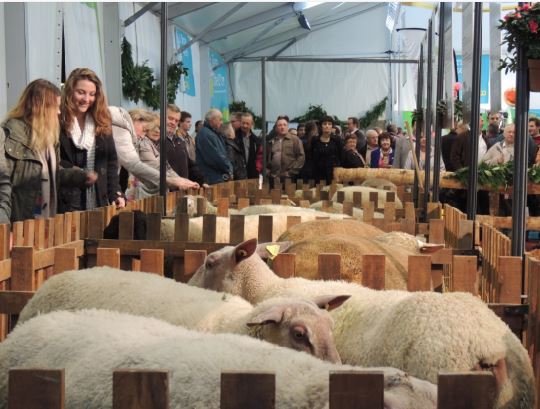 cg21 ferme cote d'or