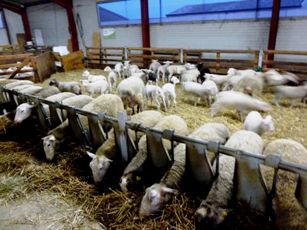 Un nouvel accord-cadre agricole 2015 &ndash; 2019