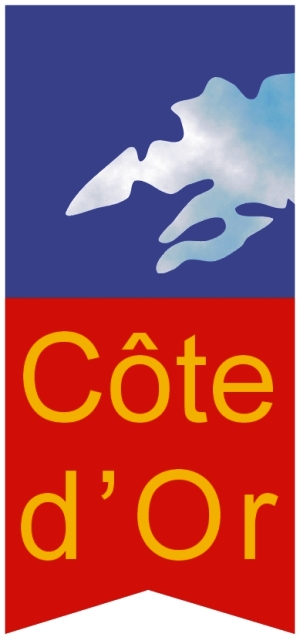 DEPARTEMENTALES COTE D'OR 2015