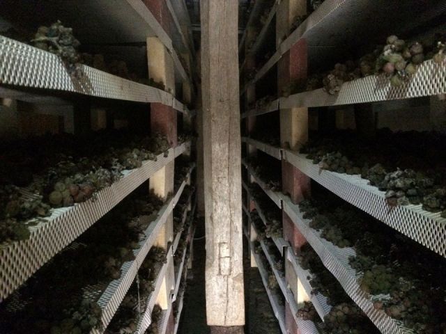 DOMAINE FLAVIGNY ALESIA