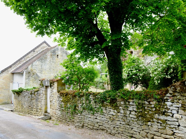 DEPARTEMENTALES COTE D'OR 2015