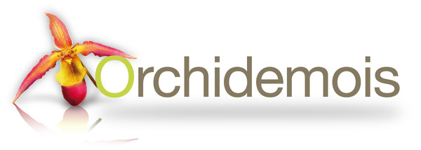 orchid&eacute;e, orchidemois