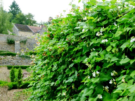BARBIREY AOUT 2015 MARIE QUIQUEMELLE ECHO DES COMMUNES