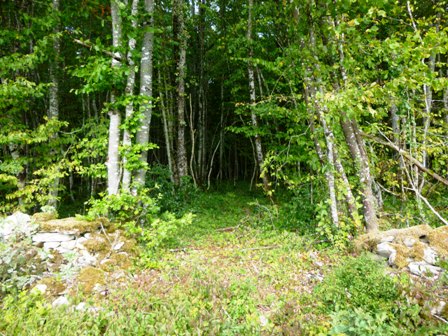 CHEMINS DES PRIEURES DE ST SEINE MARIE QUIQUEMELLE ECHO DES COMMUNES
