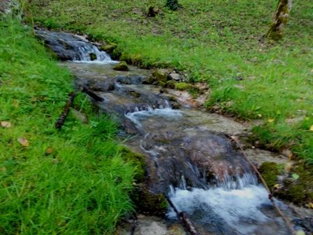 CHEMINS DES PRIEURES DE ST SEINE MARIE QUIQUEMELLE ECHO DES COMMUNES