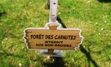 ASTERIX MUSEOPARC 2015 ECHO DES COMMUNES
