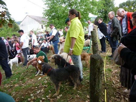 FETE NATURE ET CHIEN 2015 ECHO DES COMMUNES