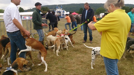 FETE NATURE ET CHIEN 2015 ECHO DES COMMUNES