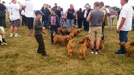 FETE NATURE ET CHIEN 2015 ECHO DES COMMUNES