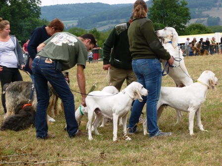 FETE NATURE ET CHIEN 2015 ECHO DES COMMUNES